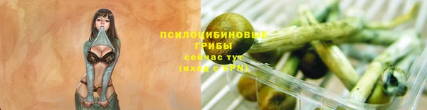 круглые Горно-Алтайск