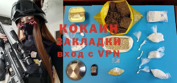 прущая мука Вяземский